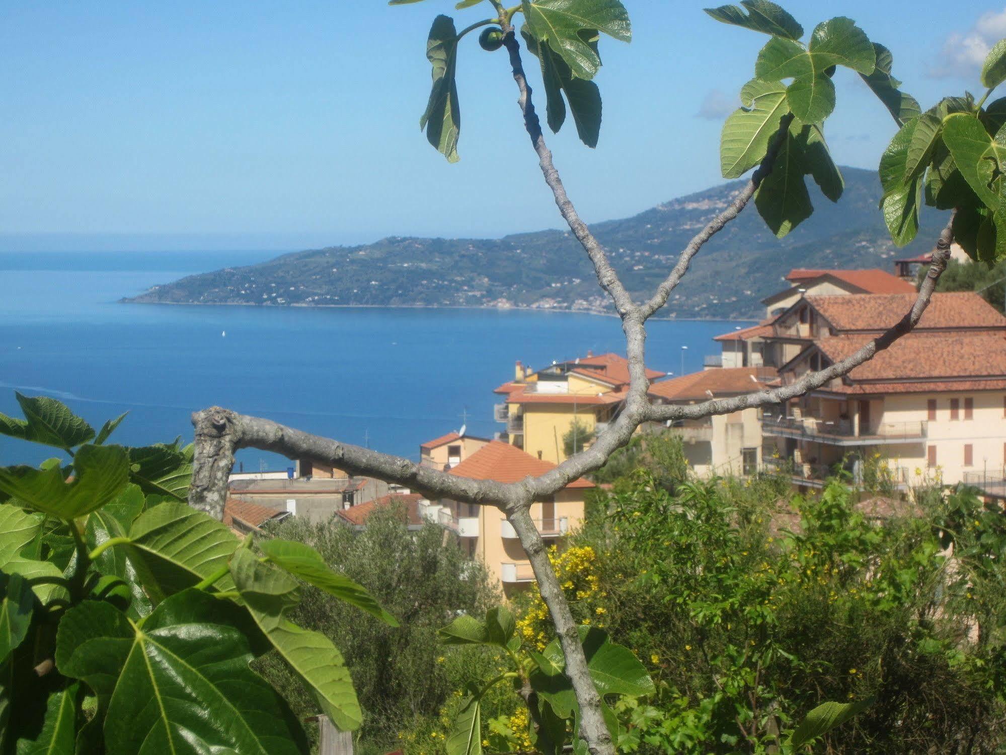 Villa Santa Sofia Ascea Bagian luar foto